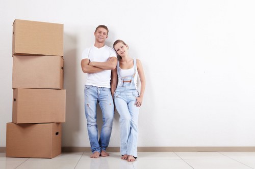 Accessibility statement introduction for Northkensington Removals
